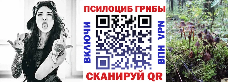 Псилоцибиновые грибы GOLDEN TEACHER  Купить  Ейск 